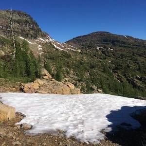 Meet your Posher, Kayden